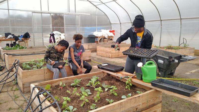 Students gardening in microfarm Students gardening in microfarm