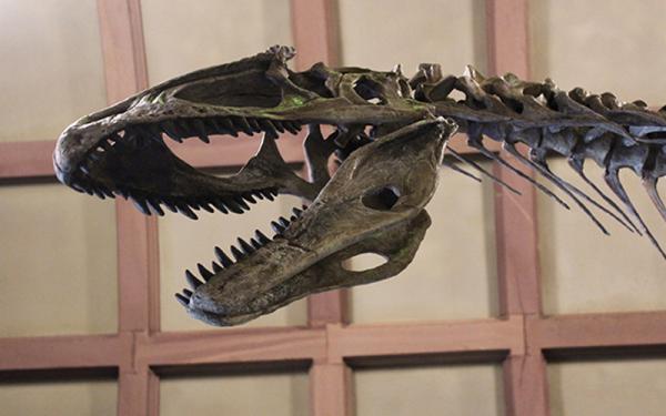 Dinosuar